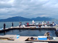 海上釣り堀 海遊 - 海上釣堀ポータル - 全国の海上釣り堀・海釣り公園