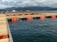 和歌山の海上釣堀 海上釣堀ポータル 全国の海上釣り堀 海釣り公園情報 和歌山の海上釣堀 海上釣堀ポータル 全国の海上釣り堀 海釣り公園情報